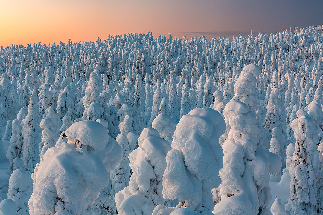 Iivaara winter landscapes